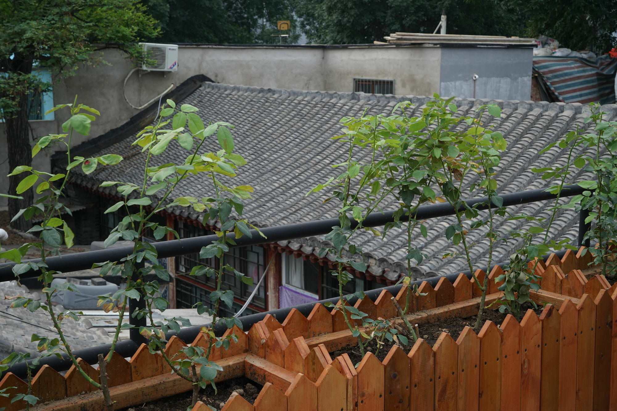 Garden Inn 北京 エクステリア 写真