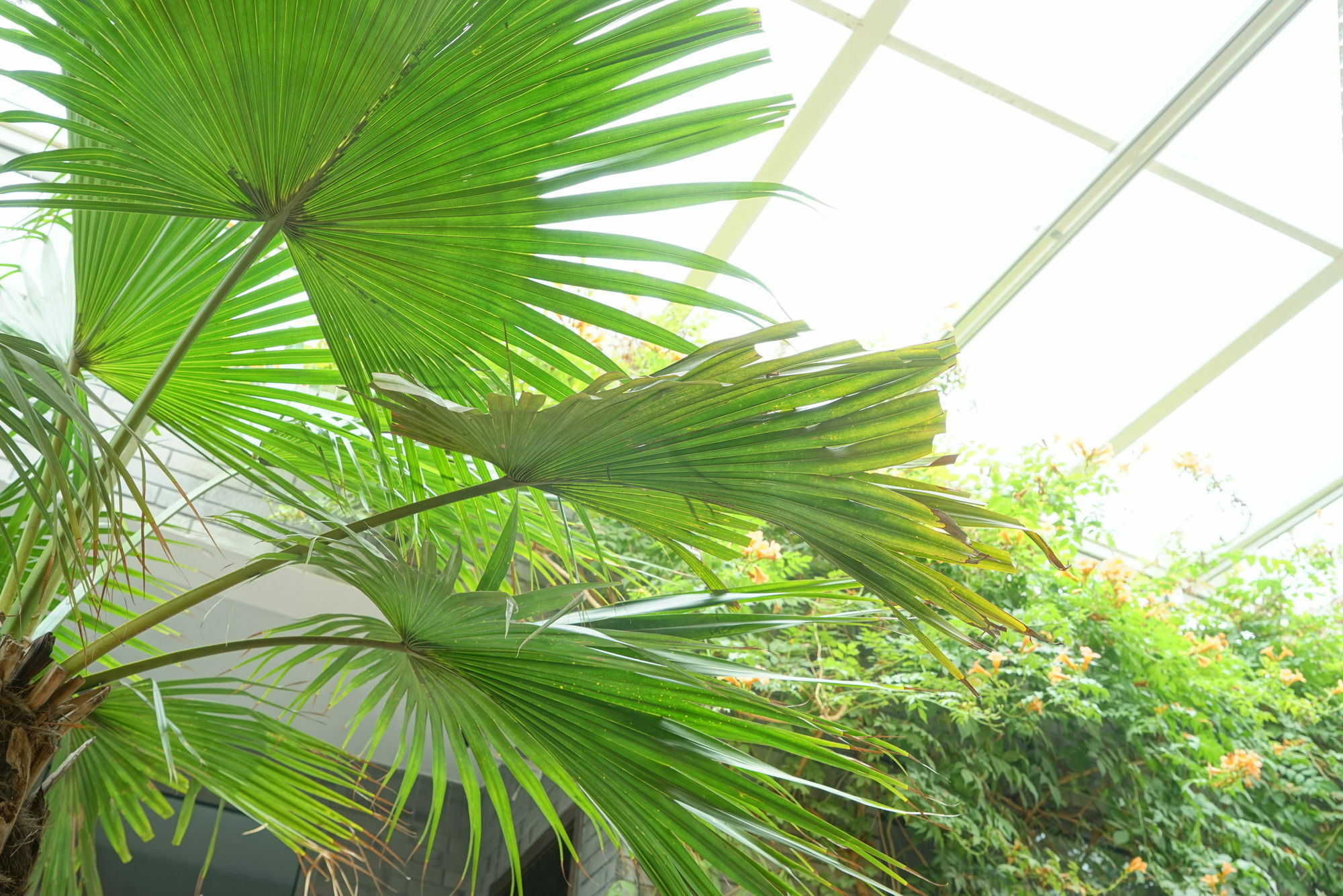 Garden Inn 北京 エクステリア 写真